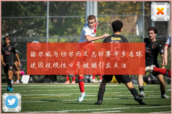 赫尔城与切尔西足总杯赛中多名球迷因歧视性口号被捕引发关注