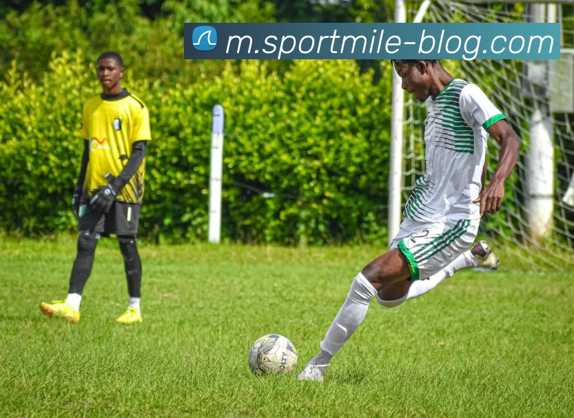 米乐体育服务体系